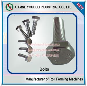 Galvanized Roof Bolt for Metal Roofing System