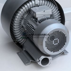 Air Ring Blower Vacuum Pump for Industry