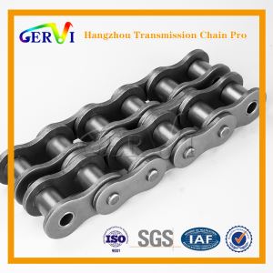 80 100 120 Doube Strand Stainless Steel Ss Corrosion Resistant Roller Chains