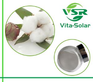 Cottonseeds Phytosterol, GMO-FREE Oil Cottonseeds 95%,90% Sterols Suppliers