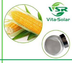 Corn Oil Phytosterol, Core Source Sterols 95%,90% Powder Suppliers