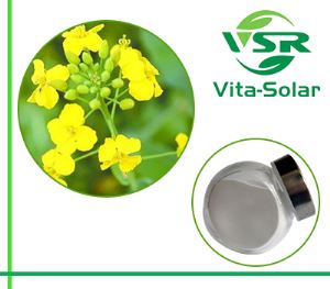 Rapeseed Phytosterol, Canola Oil Source Sterols 95%,90% Powder Suppliers