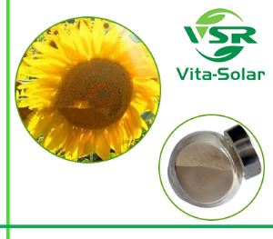 Sunflower Seeds Phosphatidylserine Supplement 50% Suppliers