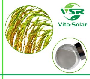 Rice Bran Phytosterol, NON-GMO Source Rice Bran Oil Sterols 90%,95% Powder Suppliers