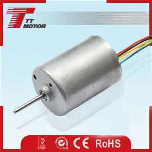 DC 12V/24V High Speed and High Efficient Micro Brushless Motor Built-in Driver for Pump Use