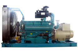 Power Diesel Generator Stationary Diesel Generators Emergency Power Generators 20 KVA Generators