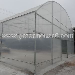 Low Cost PE Flim Plastic High Tunnel Greenhouse