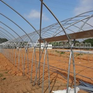 Easy Assemble Poly Film Vegetable Gutter Connected Greenhouse