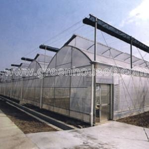 Sawtooth Plastic Film Ventilation Greenhouse for Tropical Climate