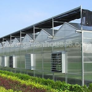 Solid PC Sheet Cover Material Industrial Polycarbonate Greenhouse