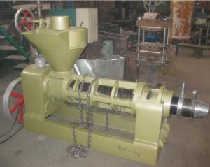 High Capacity Sesame Screw Oil Press Machine