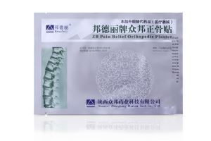 Chinese Pain Back Plaster for Bruise and Frozen Shoulder Relief Osteoporosis