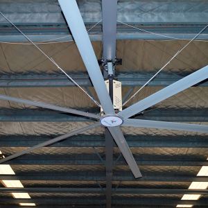 Low Energy Factory Extractor Cool Air Ceiling Fan