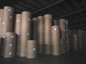 C1S Coated Ivory Printing Paper Board