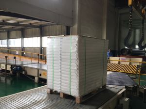 High Quality Clay Coated Duplex Paper Board Ream Packed on Pallet for Packaging
