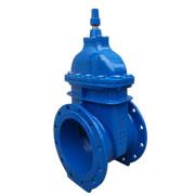 BS5163 Non Rising Stem Resilient Seated Wedge Gate Valve