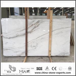 New Exclusive Castro White Marble Slabs for Wall / Floor Decor with Cheap Cost