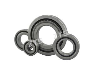 High Precision Ball Screw Support Bearings