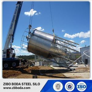 30tons Poultry Silo