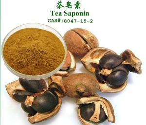 Melland Tea Seed Saponin Extract Powder from Camellia Oleifera Abel ,cosmetic Grade 95%