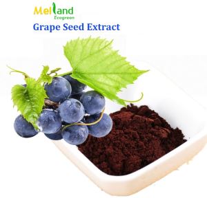 Organic Natural Grape Seed Extract Powder for Cosmetics,High Potency Antioxidant and Anti-ageing