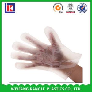 Block Headed HDPE Disposable PE Glove with Paper Card