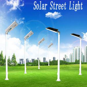 Hot Sale 25W Long Life Solar Street Light