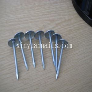BWG 8 X 3'' Collated Smooth Roofing Nails