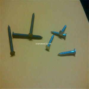12Gx1-1/4''hardware Nails Types