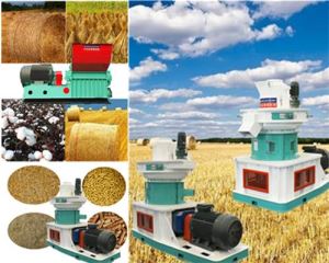 Wheat straw pellet machine production line/straw pellet mill line manufacturers