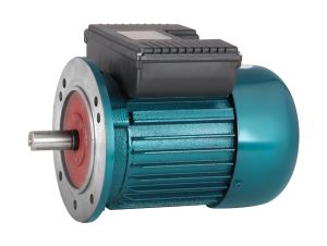 YL Dual Capacitor Single Phase Electric Motor