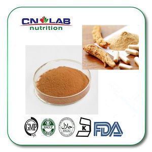 Chinese Angelica Extrat Powder, Dong-Quai Extract from Angelica sinensis