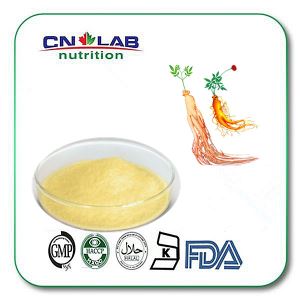 Panax schinseng Extract,Wholesale Radix Quinquefolii Extract ,Korea red Ginseng or A,erocam ginseng Extract with Ginsenoside 1% -98%