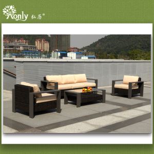 Latest design rattan sofa set