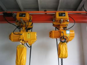 Crane Electric Chain Block Hoist Manufacturer