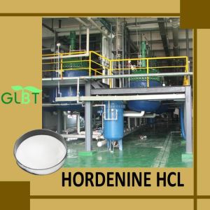 Hordenine Hcl Powder
