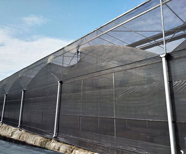 Galvanized Structure Long Life Cooling Anti UV Screen Shading Net House