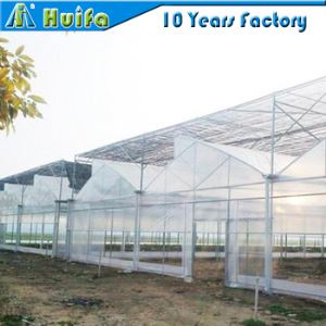 Top Ventilation Multi Span Sawtooth Greenhouse