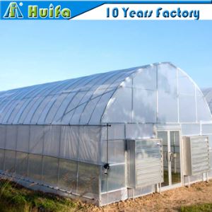 Plastic Film Galvanized Frame Tunnel Greenhouse for Vegetable Planting