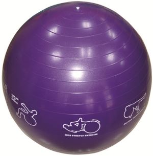 Illustrated Stability Ball