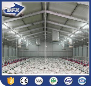Fast Installation Poultry Shed Broiler Poultry Farm House Design