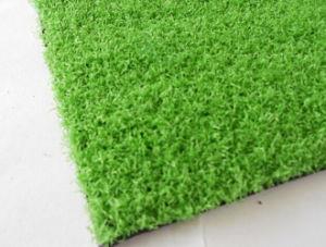Synthetic Grass Supplier