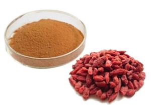Organic Goji Berry/wolf Berry Extarct /p.e Powder 20% Polysaccharides