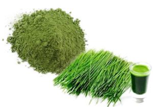 Organic Freeze Dried Gluten Free Green Barley Grass Juice Powder