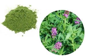 Non-gmo Gluten Free Organic Alfalfa Powder