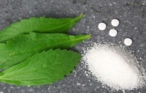 Stevia Leaves Extract