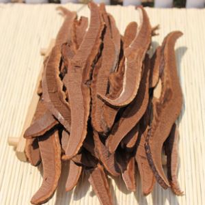 Ganoderma Sinense Slices Of Of Ganoderma Lucidum Linzhi