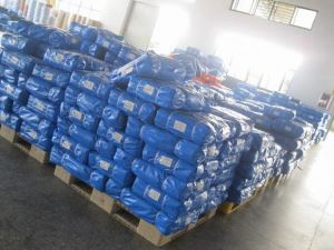 Light Blue/White Waterproof PE Tarpaulin in African Market