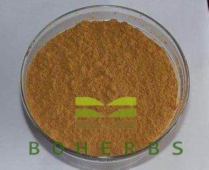 Eucommiae Cortex Extract Powder Eucommia Bark Extract Tonify Kidney Chlorogenic Acids 25% 98%