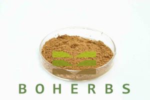 Ginkgo Leaf Extract Powder to Promote Blood Circulation Flavonoids 24% Lactones 6%